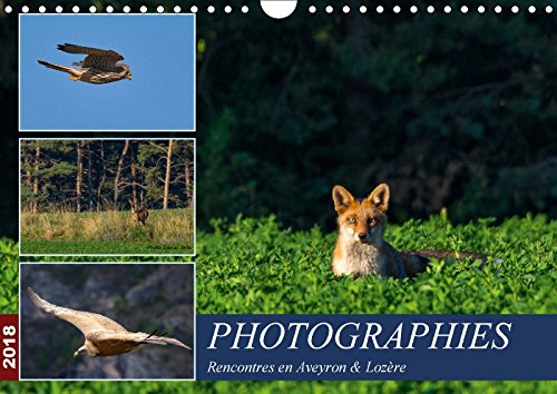 PHOTOGRAPHIES Rencontres en Aveyron & Lozère (Calendrier mural 2018 DIN A4 horizontal): Photos animalières au détour des rencontres en Aveyron et ... ... Au Detour Des Rencontres En Aveyron Et Lozere Photography