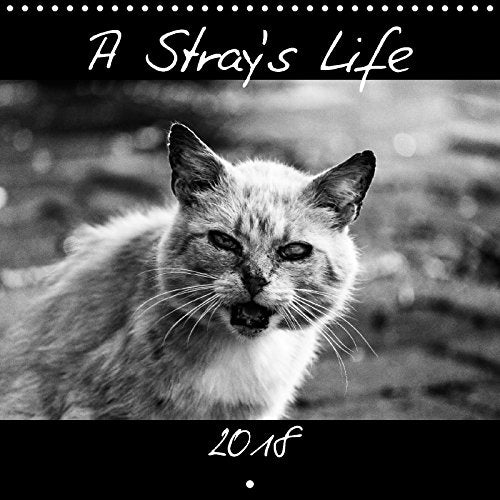 A Stray's Life (Wall Calendar 2018 300 × 300 mm Square): Outtakes of a photo story about a clowder of feral cats. (Monthly calendar, 14 pages ) (Calvendo Animals) Photography