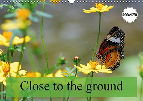 Close to the ground (Wall Calendar 2018 DIN A3 Landscape): Images of insects close to the ground. (Birthday calendar, 14 pages ) (Calvendo Animals) Photography