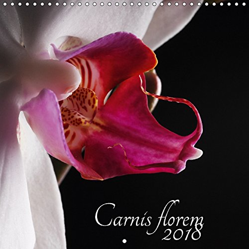 Carnis florem 2018 (Calendrier mural 2018 300 × 300 mm Square): Sensuelle et délicate, elle est la reine des fleurs (Calendrier mensuel, 14 Pages ) ... Et Delicate, Elle Est La Reine Des Fleurs Leisure, Home & Garden