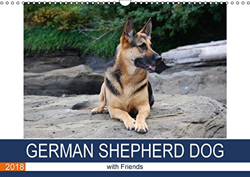 German Shepherd Dog with Friends (Wall Calendar 2018 DIN A3 Landscape): German Shepherd dog adventures on Vancouver Island (Monthly calendar, 14 pages ) (Calvendo Animals) Pets