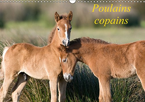 Poulains copains (Calendrier mural 2018 DIN A3 horizontal): Dès leur plus jeune âge, les relations sociales détermineront les amitiés qui perdureront ... Les Amities Qui Perdureront Bien Des Annees. Pets