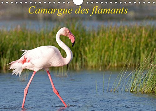 Camargue des flamants (Calendrier mural 2018 DIN A4 horizontal): La Camargue, ses flamants et ses ciels magnifiques et changeants. (Calendrier ... Ausloos, Henry Pets
