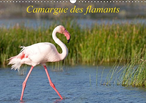 Camargue des flamants (Calendrier mural 2018 DIN A3 horizontal): La Camargue, ses flamants et ses ciels magnifiques et changeants. (Calendrier ... Ausloos, Henry Pets
