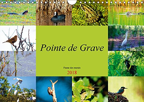 Pointe de Grave - Faune des marais (Calendrier mural 2018 DIN A4 horizontal): Un petit aperçu de la faune des marais de la Pointe de Grave (Calendrier ... 12, 2017] DUPEROU - Dom's Photos, Dominique Photography