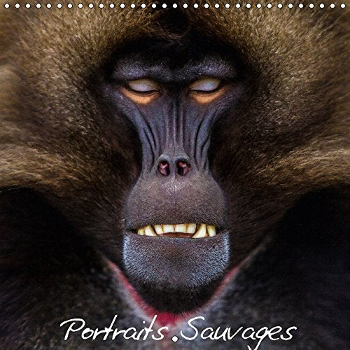 Portraits Sauvages (Calendrier mural 2018 300 × 300 mm Square): Portraits d'animaux sauvages (Calendrier mensuel, 14 Pages ) (Calvendo Animaux) Franckfotography Film, Art & Culture