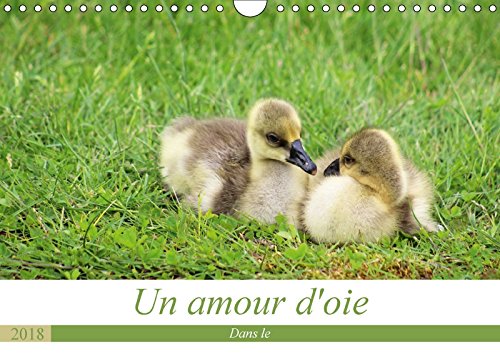 Un amour d'oie (Calendrier mural 2018 DIN A4 horizontal): La vie de mes oies de leurs naissance a aujourd'hui (Calendrier mensuel, 14 Pages ) ... Ladan, Christina Film, Art & Culture