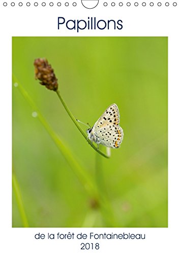 Papillons de la forêt de Fontainebleau (Calendrier mural 2018 DIN A4 vertical) Dieser erfolgreiche Kalender wurde dieses Jahr mit gleichen Bildern und ... La Foret De Fontainebleau (Calvendo Animaux) Leisure, Home & Garden