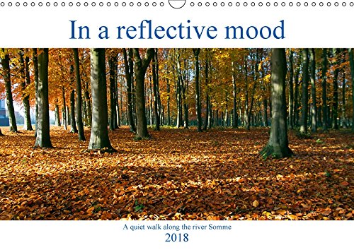 In a reflective mood (Wall Calendar 2018 DIN A3 Landscape): A quiet walk along the river Somme (Monthly calendar, 14 pages ) (Calvendo Nature) Leisure, Home & Garden