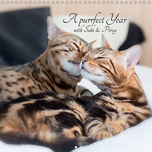 A purrfect year with Suki & Percy (Wall Calendar 2018 300 × 300 mm Square): Beautiful photos of two lovely bengals (Monthly calendar, 14 pages ) (Calvendo Animals) Pets