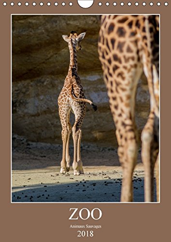 Zoo animaux sauvages (Calendrier mural 2018 DIN A4 vertical): Animaux sauvages (Calendrier mensuel, 14 Pages ) (Calvendo Animaux) Franckfotography Film, Art & Culture