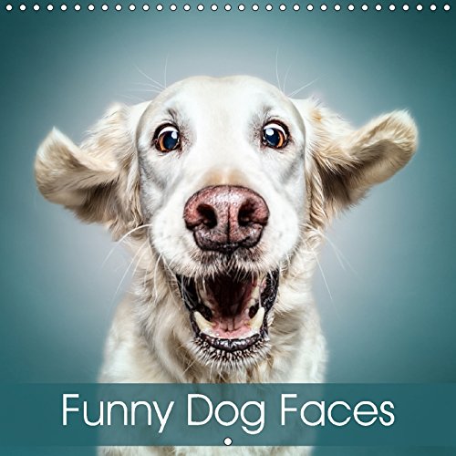 Funny Dog Faces (Wall Calendar 2018 300 × 300 mm Square): Gorgeous dog faces with a touch of humour (Monthly calendar, 14 pages ) (Calvendo Animals) Pets