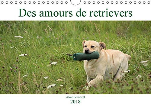 Des amours de retrievers (Calendrier mural 2018 DIN A4 horizontal): Des amours de retrievers, des chiens retrievers dans diverses situations ... Seronval, Alice Pets