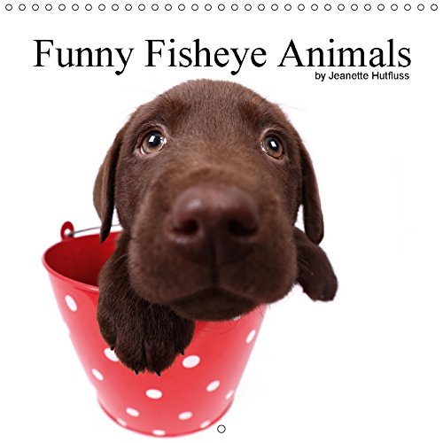 Funny Fisheye Animals (Wall Calendar 2018 300 × 300 mm Square): Various funny animals photographed with a Fisheye lens (Monthly calendar, 14 pages ) (Calvendo Animals) Photography