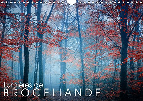 Lumières de Brocéliande (Calendrier mural 2018 DIN A4 horizontal): Images de la forêt de Brocéliande (Calendrier mensuel, 14 Pages ) (Calvendo Nature) ... Philippe: Images De La Foret De Broceliande Film, Art & Culture
