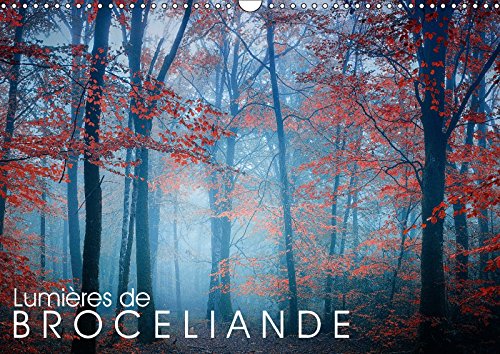 Lumières de Brocéliande (Calendrier mural 2018 DIN A3 horizontal): Images de la forêt de Brocéliande (Calendrier mensuel, 14 Pages ) (Calvendo Nature) ... Philippe: Images De La Foret De Broceliande Film, Art & Culture