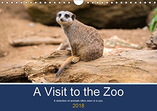 A Visit to the Zoo (Wall Calendar 2018 DIN A4 Landscape): A selection of animals often seen in a zoo. (Monthly calendar, 14 pages ) (Calvendo Animals) Social Sciences