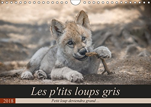Les p'tits loups gris (Calendrier mural 2018 DIN A4 horizontal): Petit loup deviendra grand ... (Calendrier mensuel, 14 Pages ) (Calvendo Animaux) Camel, Arnaud Photography