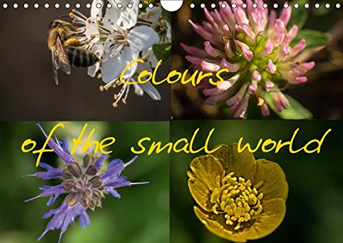 Colours of the small world (Wall Calendar 2018 DIN A4 Landscape): The colourful world of flowers... (Monthly calendar, 14 pages ) (Calvendo Nature) Photography