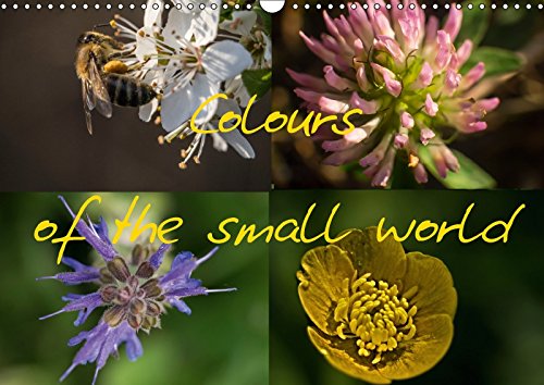 Colours of the small world (Wall Calendar 2018 DIN A3 Landscape): The colourful world of flowers... (Monthly calendar, 14 pages ) (Calvendo Nature) Photography