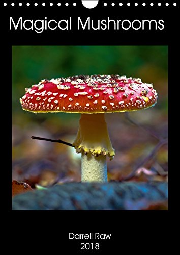 Magical Mushrooms (Wall Calendar 2018 DIN A4 Portrait): A selection of beautiful mushrooms. (Monthly calendar, 14 pages ) (Calvendo Nature) Travel
