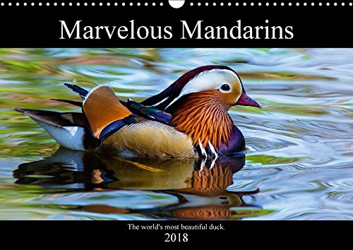 Marvellous Mandarins (Wall Calendar 2018 DIN A3 Landscape): A collection of photos showcasing the extraordinary Mandarin duck. (Monthly calendar, 14 pages ) (Calvendo Nature) Photography