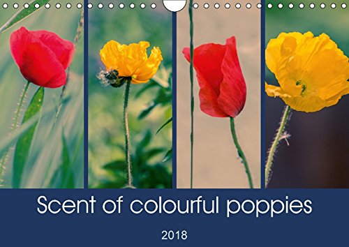 Scent of colourful poppies (Wall Calendar 2018 DIN A4 Landscape): A unique collection of top quality photographs of colourful poppies. (Monthly calendar, 14 pages ) (Calvendo Nature) Hobbies & Crafts