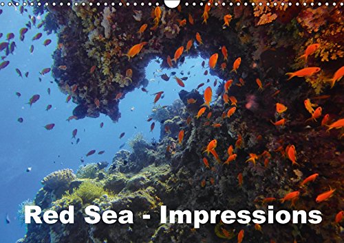 Red Sea - Impressions (Wall Calendar 2018 DIN A3 Landscape): Underwater photography from the Red Sea - Enjoy it. (Monthly calendar, 14 pages ) (Calvendo Places) Film, Art & Culture