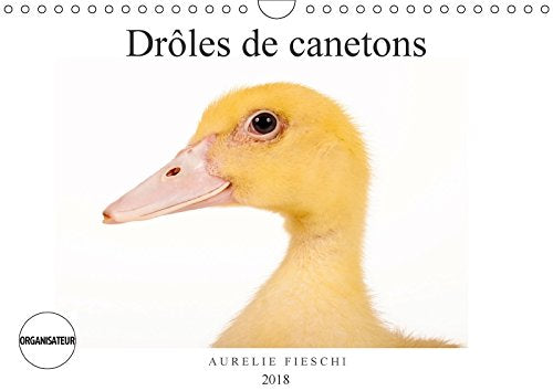 Drôles de canetons (Calendrier mural 2018 DIN A4 horizontal): D'adorables canetons (Calendrier anniversaire, 14 Pages ) (Calvendo Animaux) Fieschi, Aurélie Photography