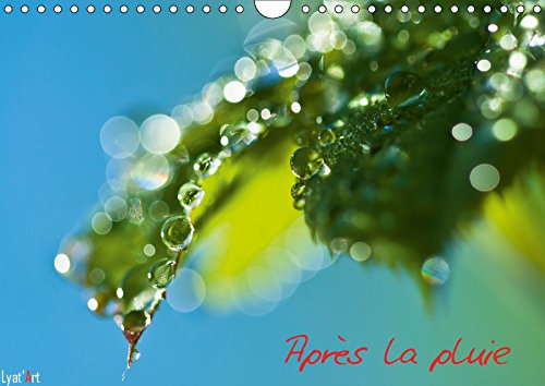 Après la pluie (Calendrier mural 2019 DIN A4 horizontal): Calendrier mural 14 pages sur le thème de la pluie (Calendrier mensuel, 14 Pages ) (Calvendo Nature) Film, Art & Culture