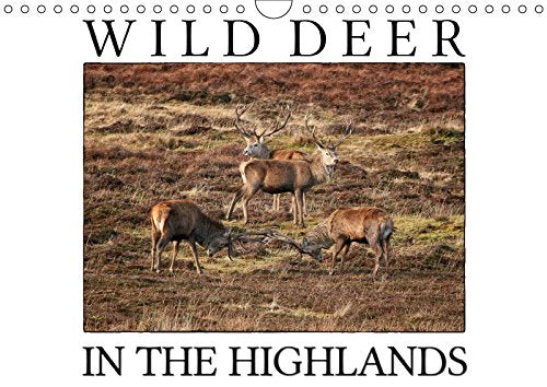 Wild Deer In The Highlands (Wall Calendar 2019 DIN A4 Landscape): Enjoy the majestic beauty of wild deer in its natural environment (Monthly calendar, 14 pages ) (Calvendo Animals) Leisure, Home & Garden