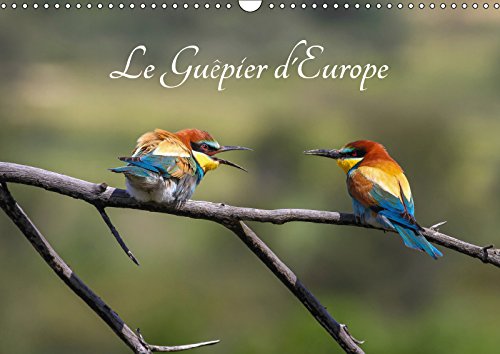 Le Guêpier d'Europe - Merops Apiaster (Calendrier mural 2019 DIN A3 horizontal): Découvrez chaque mois les différentes facettes du guêpier d'Europe. (Calendrier mensuel, 14 Pages ) book