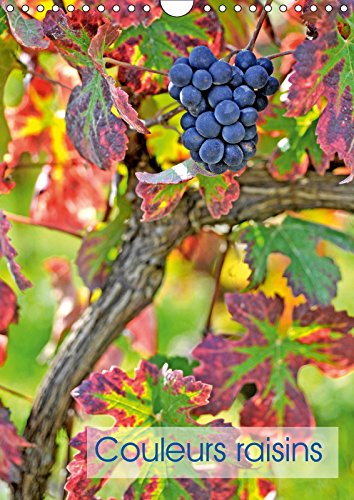 Couleurs raisins (Calendrier mural 2019 DIN A4 vertical): Grappes de raisins (Calendrier mensuel, 14 Pages ) (Calvendo Nature) Mathematics