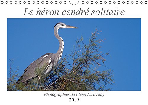Le héron cendré solitaire (Calendrier mural 2019 DIN A4 horizontal): L'élégant héron cendré dans différentes situations de son quotidien. (Calendrier anniversaire, 14 Pages ) (Calvendo Animaux) Geology & Geography
