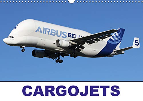 CARGOJETS (Wall Calendar 2019 DIN A3 Landscape): Freighter aircraft from around the world (Monthly calendar, 14 pages ) (Calvendo Places) Leisure, Home & Garden