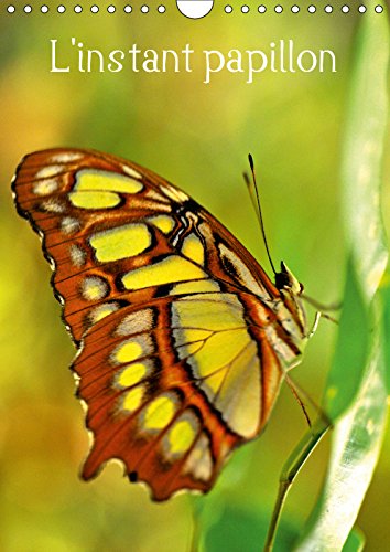 L'instant papillon (Calendrier mural 2019 DIN A4 vertical): L'univers coloré des papillons (Calendrier mensuel, 14 Pages ) (Calvendo Nature) Mathematics