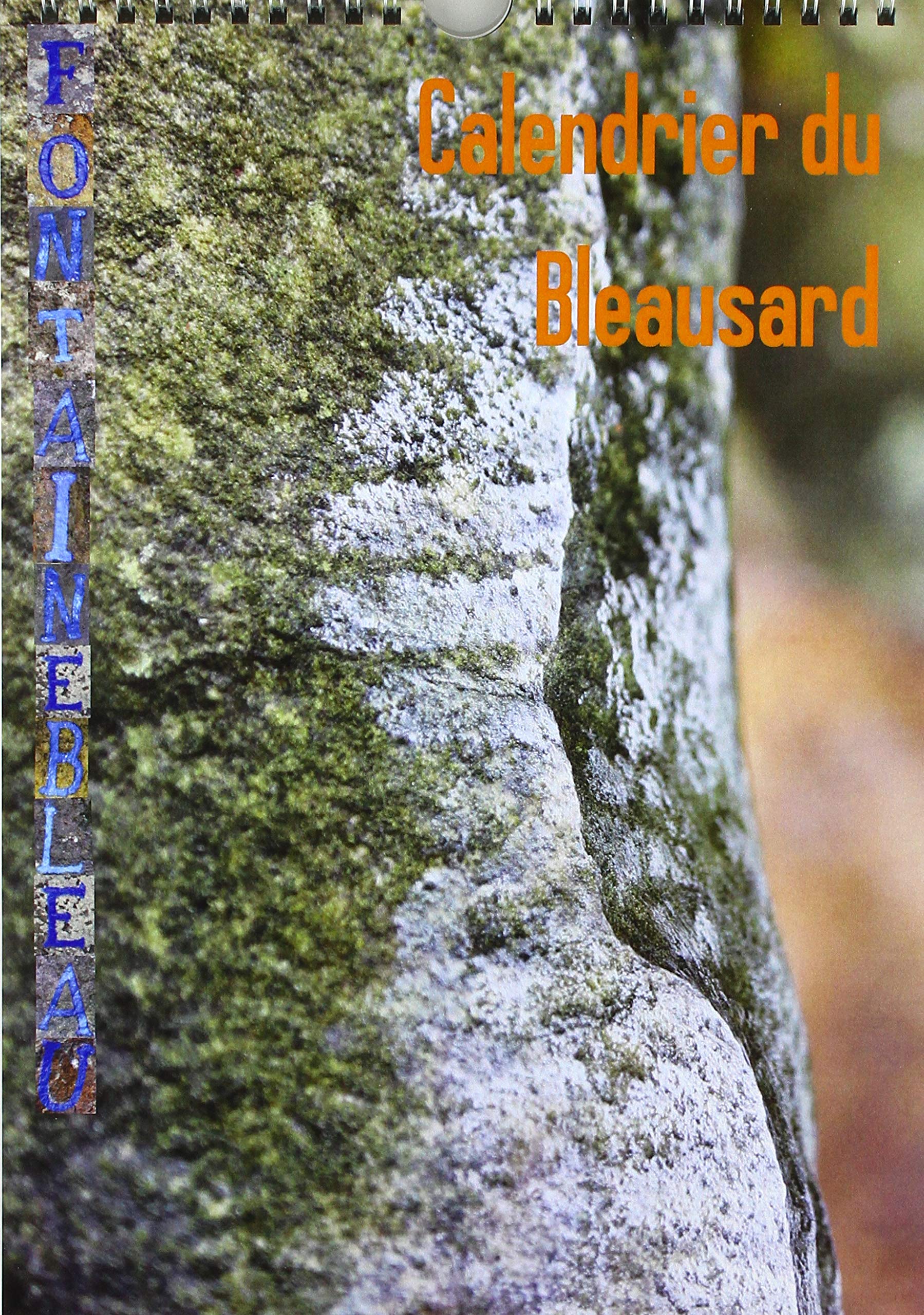 Calendrier du Bleausard (Calendrier mural 2019 DIN A4 vertical): Le calendrier de tous les grimpeurs fans d'escalade à Fontainebleau (Calendrier mensuel, 14 Pages ) (Calvendo Sportif) Leisure, Home & Garden