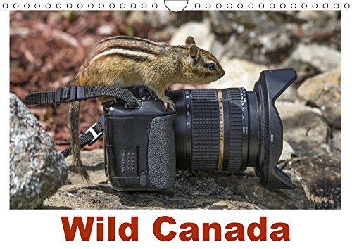 Wild Canada (Wall Calendar 2019 DIN A4 Landscape): The wonderful nature of Canada in a calendar. (Monthly calendar, 14 pages ) (Calvendo Nature) Leisure, Home & Garden