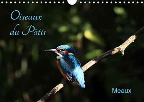 Oiseaux du Pâtis (Calendrier mural 2019 DIN A4 horizontal): Oiseaux du parc naturel du Pâtis à Meaux au gré des saisons (Calendrier mensuel, 14 Pages ) (Calvendo Animaux) Business & Technology