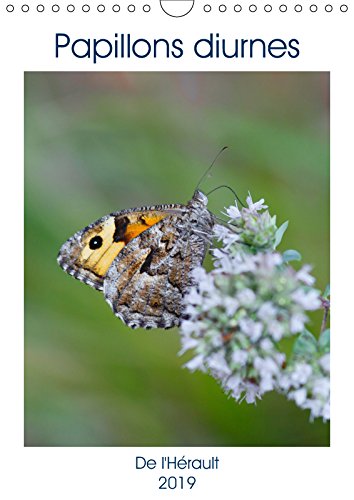 Papillons diurnes de l'Hérault (Calendrier mural 2019 DIN A4 vertical): De belles photos de papillons pour chaque mois de l'année (Calendrier mensuel, 14 Pages ) (Calvendo Nature) Mathematics