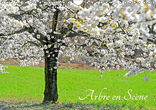 Arbre en Scène (Calendrier mural 2019 DIN A4 horizontal): L'arbre aux quatre saisons (Calendrier mensuel, 14 Pages ) (Calvendo Nature) Geology & Geography