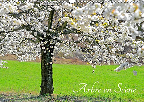 Arbre en Scène (Calendrier mural 2019 DIN A3 horizontal): L'arbre aux quatre saisons (Calendrier mensuel, 14 Pages ) (Calvendo Nature) Geology & Geography