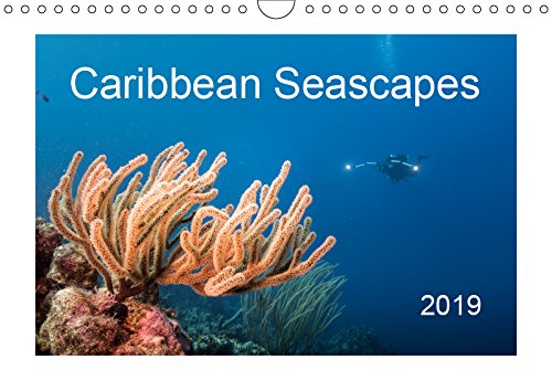 Caribbean Seascapes 2019: Enjoy the magical underwater world of the Caribbean Sea! book