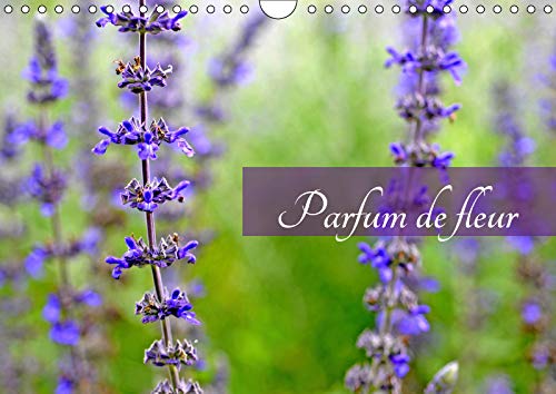 Parfum de fleur (Calendrier mural 2019 DIN A4 horizontal): Les fleurs du jardin de Givergny (Calendrier mensuel, 14 Pages ) (Calvendo Nature) Leisure, Home & Garden
