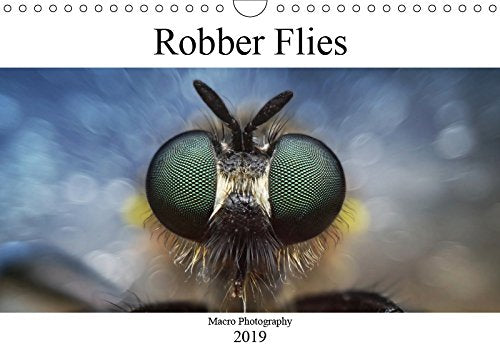 Robber Flies (Wall Calendar 2019 DIN A4 Landscape): Macro Photography (Monthly calendar, 14 pages ) (Calvendo Animals) Photography