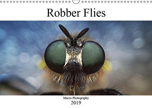 Robber Flies (Wall Calendar 2019 DIN A3 Landscape): Macro Photography (Monthly calendar, 14 pages ) (Calvendo Animals) Photography