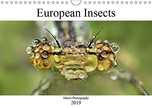 European Insects (Wall Calendar 2019 DIN A4 Landscape): Macro Photography (Monthly calendar, 14 pages ) (Calvendo Animals) Photography