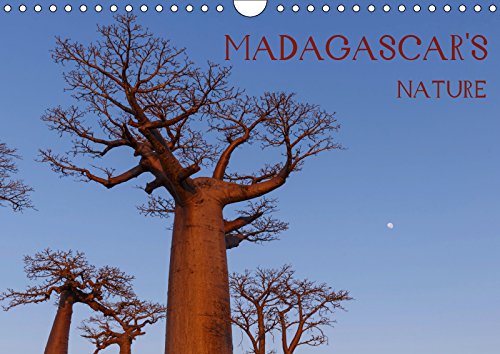 Madagascar's nature (Wall Calendar 2019 DIN A4 Landscape): Landscapes, fauna and flora of Madagascar (Monthly calendar, 14 pages ) (Calvendo Nature) Film, Art & Culture