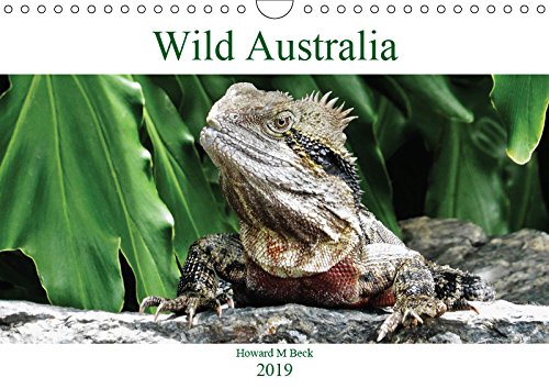 Wild Australia (Wall Calendar 2019 DIN A4 Landscape): All that is toothy, deadly and furry from Australia (Monthly calendar, 14 pages ) (Calvendo Animals) Leisure, Home & Garden