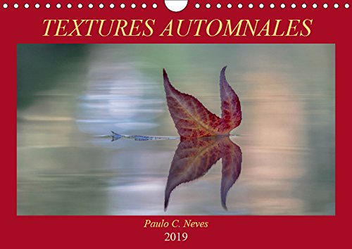 Textures automnales (Calendrier mural 2019 DIN A4 horizontal): De près ou de tres près, que des images d'automne... (Calendrier anniversaire, 14 Pages ) (Calvendo Nature) Film, Art & Culture